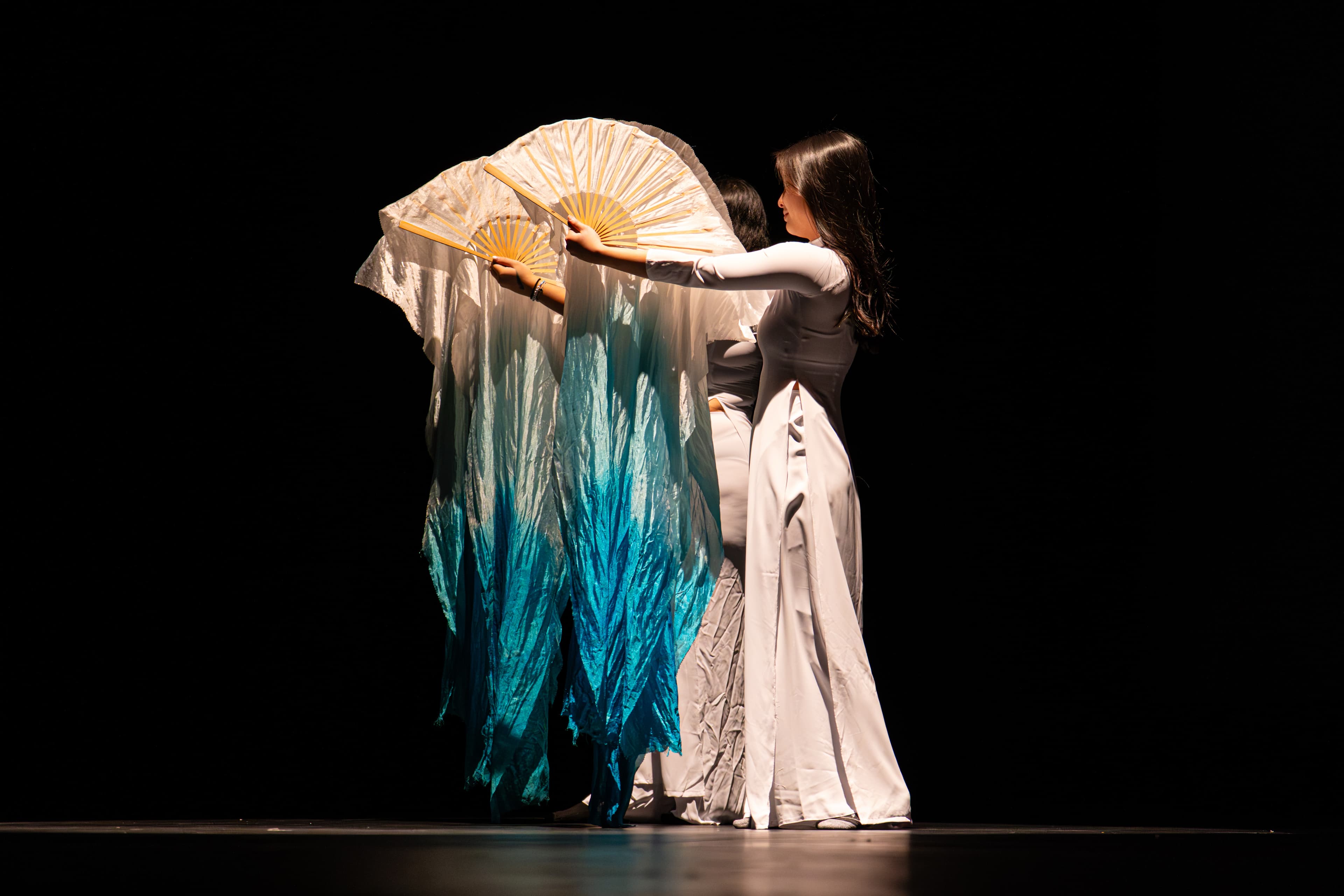 Cultural Shows